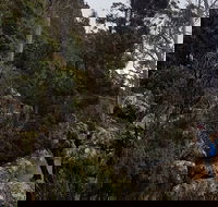 kunanyi / Mt. Wellington Guided Hiking Tour - Restaurant Guide