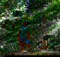 Full Day Daintree Rainforest and Mossman Gorge Tour - Restaurant Guide