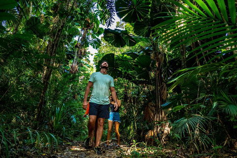 Full Day Daintree Rainforest And Mossman Gorge Tour - Restaurant Guide 0