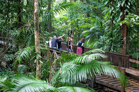 Full Day Daintree Rainforest And Mossman Gorge Tour - Restaurant Guide 1