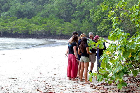 Full Day Daintree Rainforest And Mossman Gorge Tour - Restaurant Guide 2
