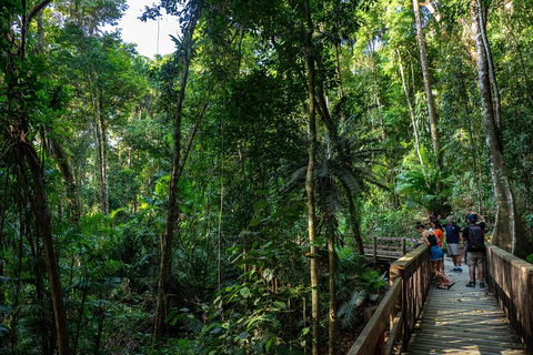 Full Day Daintree Rainforest And Mossman Gorge Tour - Restaurant Guide 5