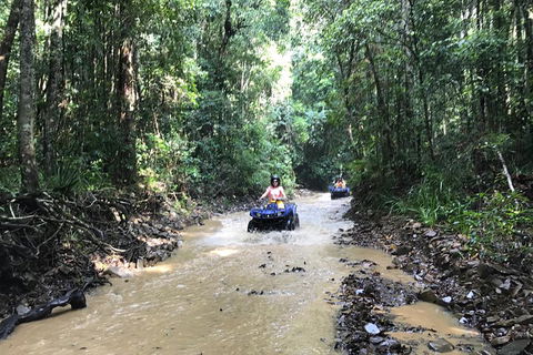 Cairns ATV Adventure Tour And Morning Train - Restaurant Guide 1