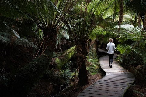 Private Tour Of Melbourne - Restaurant Guide 2