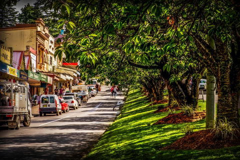 Fully Inclusive Blue Mountains Private Tour Inc Scenic World & Featherdale Entry - Restaurant Guide 0