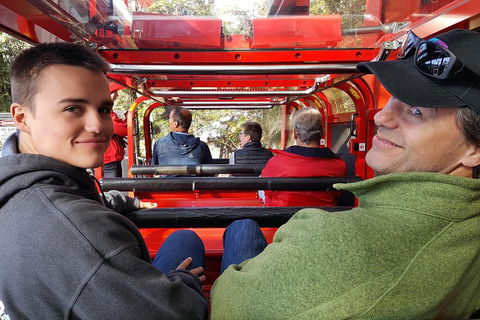 Fully Inclusive Blue Mountains Private Tour Inc Scenic World & Featherdale Entry - Restaurant Guide 1