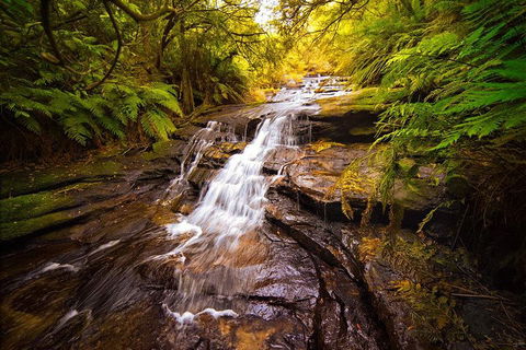 Fully Inclusive Blue Mountains Private Tour Inc Scenic World & Featherdale Entry - Restaurant Guide 3