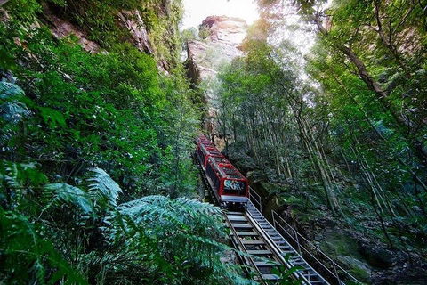 Fully Inclusive Blue Mountains Private Tour Inc Scenic World & Featherdale Entry - Restaurant Guide 4