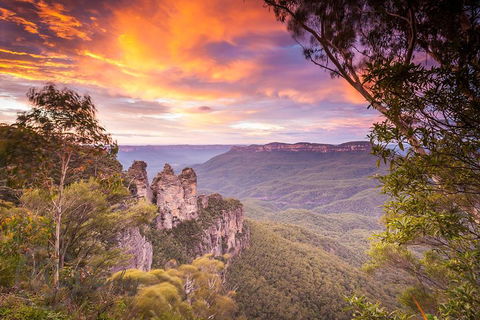 Fully Inclusive Blue Mountains Private Tour Inc Scenic World & Featherdale Entry - Restaurant Guide 5
