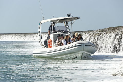 Cygnet Bay Explorer - Restaurant Guide 2