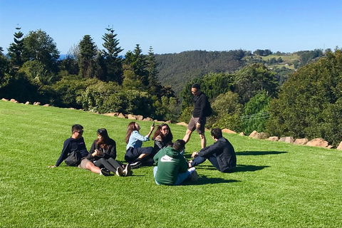 Mt Tamborine - Hinterland Wonders Self Guided - Restaurant Guide 1