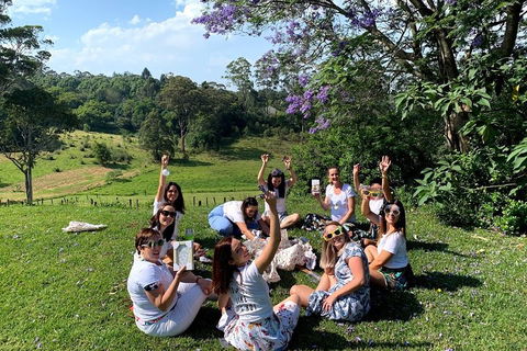 Mt Tamborine - Hinterland Wonders Self Guided - Restaurant Guide 5