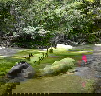 Daintree Dreaming Traditional Aboriginal Fishing from Cairns or Port Douglas - Restaurant Guide