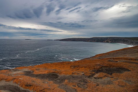 Kangaroo Island Luxury Small Group 'Flinders Chase Focus' Full Day Tour - Restaurant Guide 0