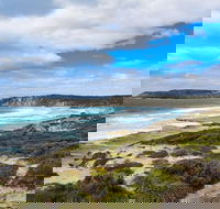 Kangaroo Island Luxury Small Group 'East End Explorer' Full Day Tour - Restaurant Guide