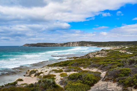 Kangaroo Island Luxury Small Group 'East End Explorer' Full Day Tour - Restaurant Guide 0