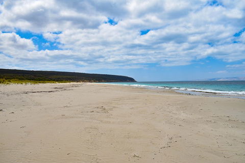 Kangaroo Island Luxury Small Group 'East End Explorer' Full Day Tour - Restaurant Guide 3