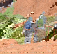 Afternoon Kata Tjuta Small Group Tour - Restaurant Guide