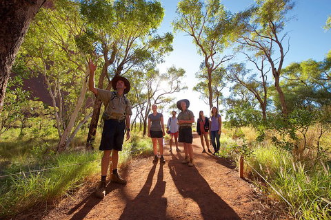 Uluru Small Group Tour Including Sunset - Restaurant Guide 0