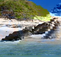 Dolphin Penguin and Sea Lion Cruise - Restaurant Guide