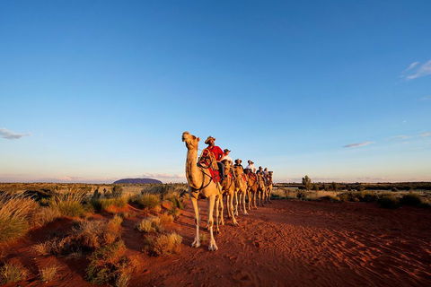 Uluru Small-Group Tour By Camel At Sunrise Or Sunset - Restaurant Guide 3