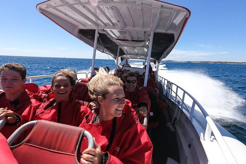 Adventure Rottnest Tour With Ferry & Adventure Cruise From Perth Or Fremantle - Restaurant Guide 0
