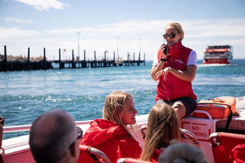 Adventure Rottnest Tour With Ferry & Adventure Cruise From Perth Or Fremantle - Restaurant Guide 4