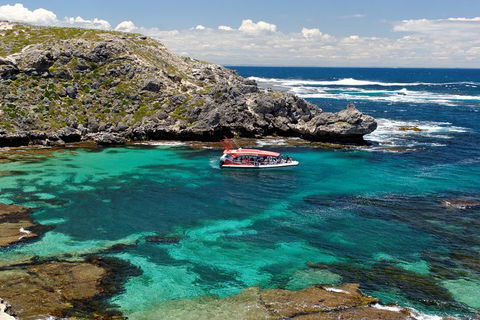 Adventure Rottnest Tour With Ferry & Adventure Cruise From Perth Or Fremantle - Restaurant Guide 5