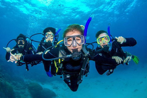 Great Barrier Reef Diving And Snorkeling Cruise From Cairns - Restaurant Guide 0