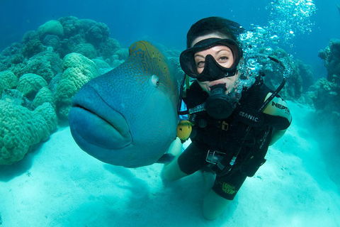 Great Barrier Reef Diving And Snorkeling Cruise From Cairns - Restaurant Guide 2