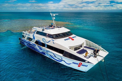 Great Barrier Reef Diving And Snorkeling Cruise From Cairns - Restaurant Guide 5