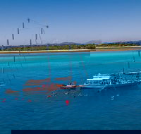Ocean Free Green Island  Great Barrier Reef Snorkel Cruise Cairns 25 guests - Restaurant Guide