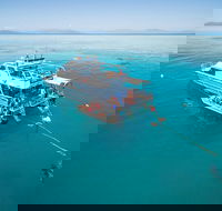 Ocean Freedom Great Barrier Reef Personal Luxury Snorkel  Dive Cruise Cairns - Restaurant Guide