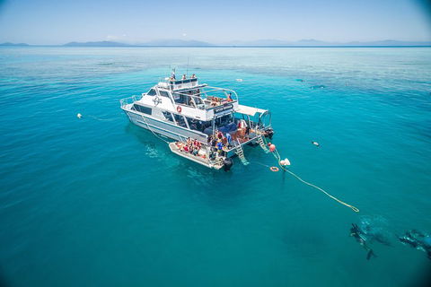 Ocean Freedom Great Barrier Reef Personal Luxury Snorkel & Dive Cruise, Cairns - Restaurant Guide 0