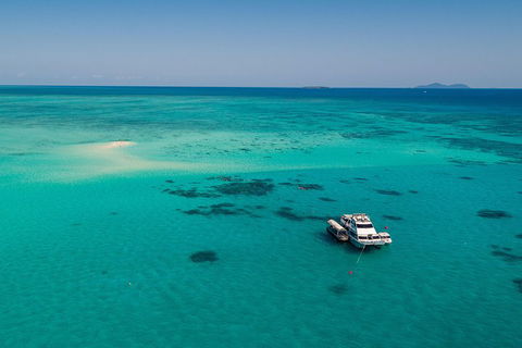 Ocean Freedom Great Barrier Reef Personal Luxury Snorkel & Dive Cruise, Cairns - Restaurant Guide 2