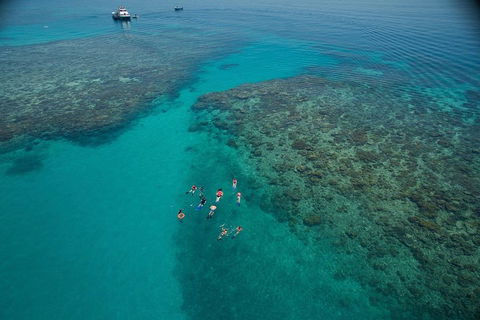 Ocean Freedom Great Barrier Reef Personal Luxury Snorkel & Dive Cruise, Cairns - Restaurant Guide 3