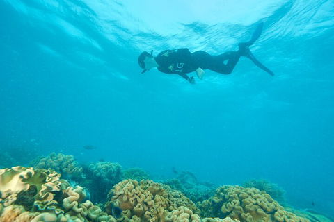 Ocean Freedom Great Barrier Reef Personal Luxury Snorkel & Dive Cruise, Cairns - Restaurant Guide 5
