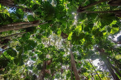 5 Day Australia Retreat: Queensland Daintree - Restaurant Guide 2