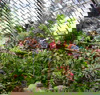 Australian Butterfly Sanctuary - Restaurant Guide