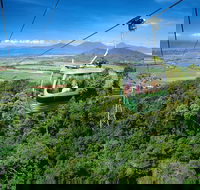 Best of Kuranda Including Skyrail Kuranda Scenic Railway and Rainforestation - Restaurant Guide