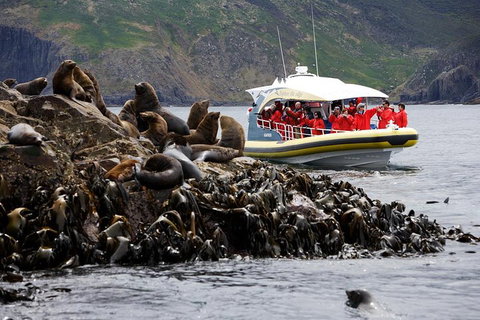 3-Hour Bruny Island Cruise From Adventure Bay, Bruny Island - Restaurant Guide 4