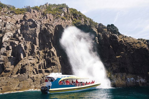 3-Hour Bruny Island Cruise From Adventure Bay, Bruny Island - Restaurant Guide 5