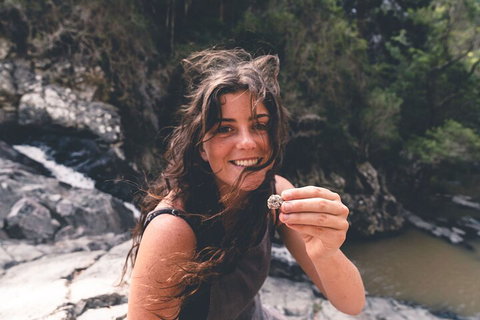 Springbrook AndTamborine Rainforest Tour Incl Natural Bridge And Glow Worm Cave - Restaurant Guide 1