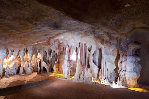 Springbrook AndTamborine Rainforest Tour Incl Natural Bridge And Glow Worm Cave - Restaurant Guide 4