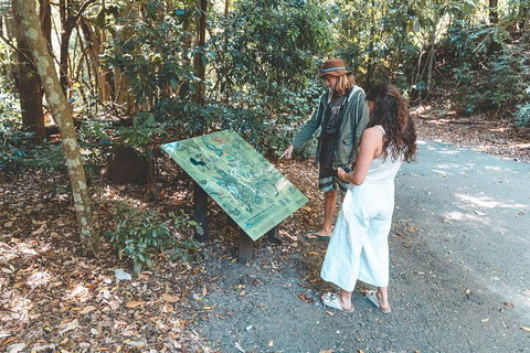 Springbrook AndTamborine Rainforest Tour Incl Natural Bridge And Glow Worm Cave - Restaurant Guide 5
