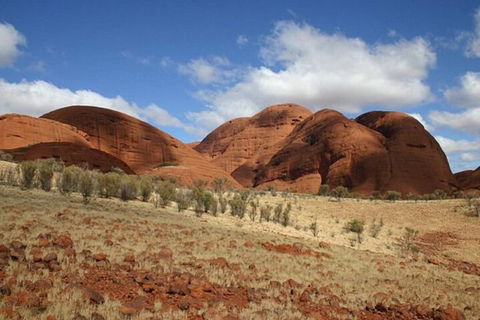 3-Day Uluru-Kata Tjuta And Kings Canyon 4WD Small-Group Eco-Tour From Alice Springs - Restaurant Guide 2