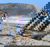 Full day Seal Bay Experience departing from Kangaroo Island - Restaurant Guide