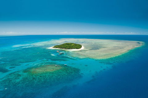 Cairns City Sights And Surrounds Tour - Restaurant Guide 0