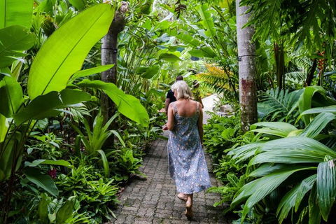Cairns City Sights And Surrounds Tour - Restaurant Guide 2