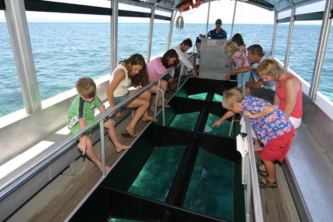Cairns City Sights And Surrounds Tour - Restaurant Guide 5